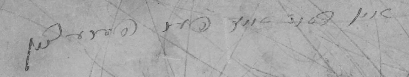 VM1341