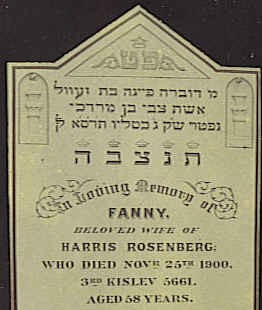 VM2389