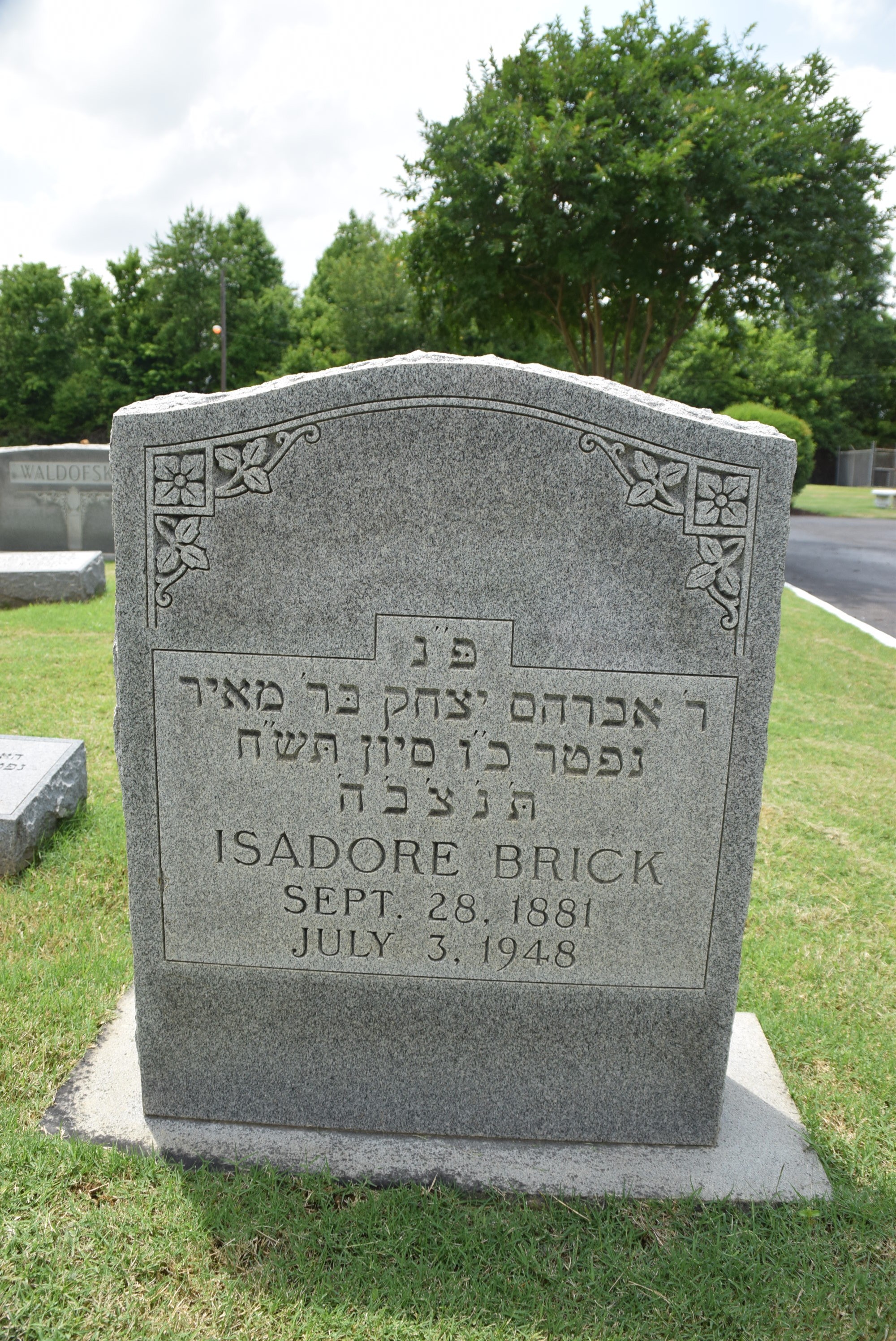 VM71351