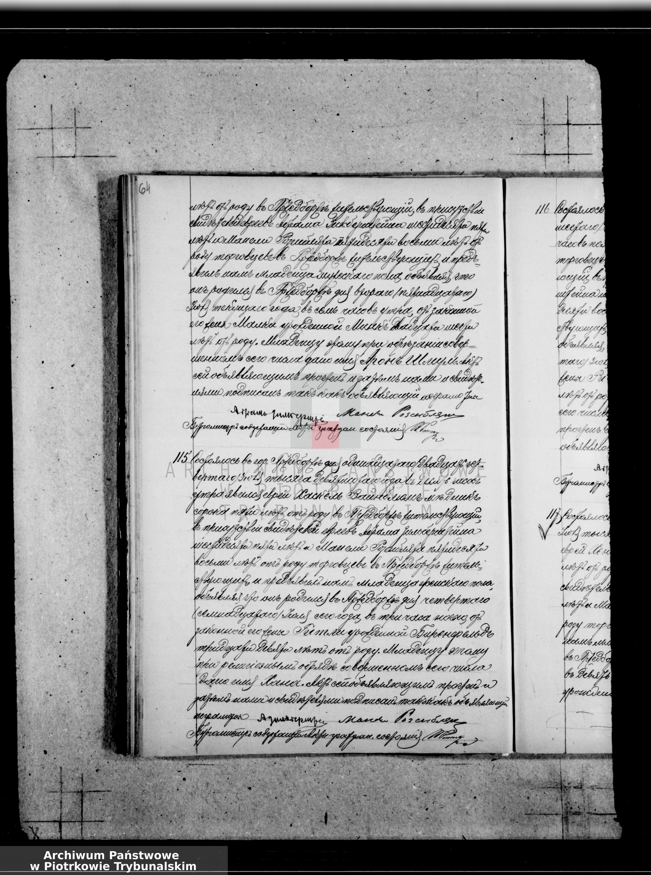 VM93245