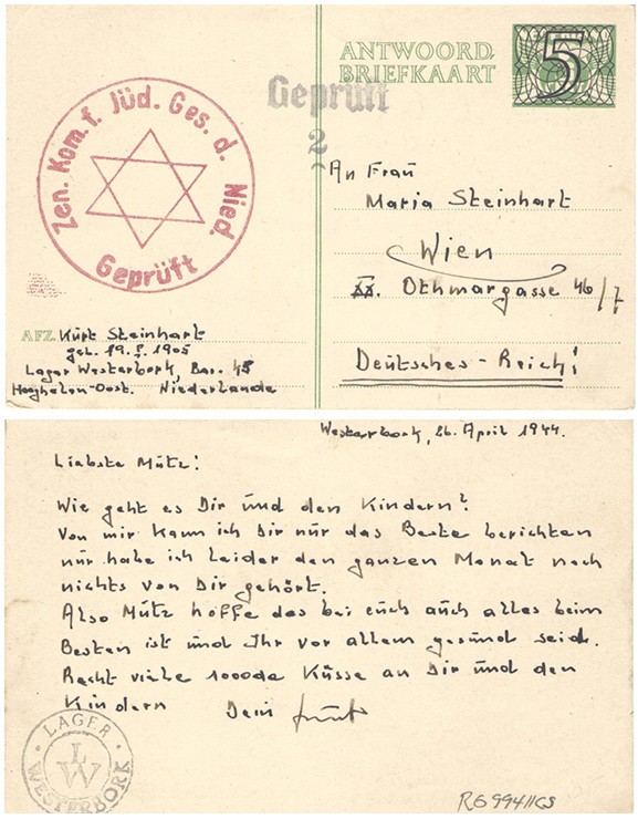 VM94081
