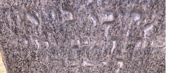 VM94134