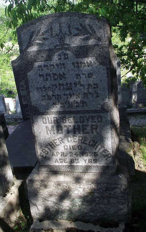 VM94219