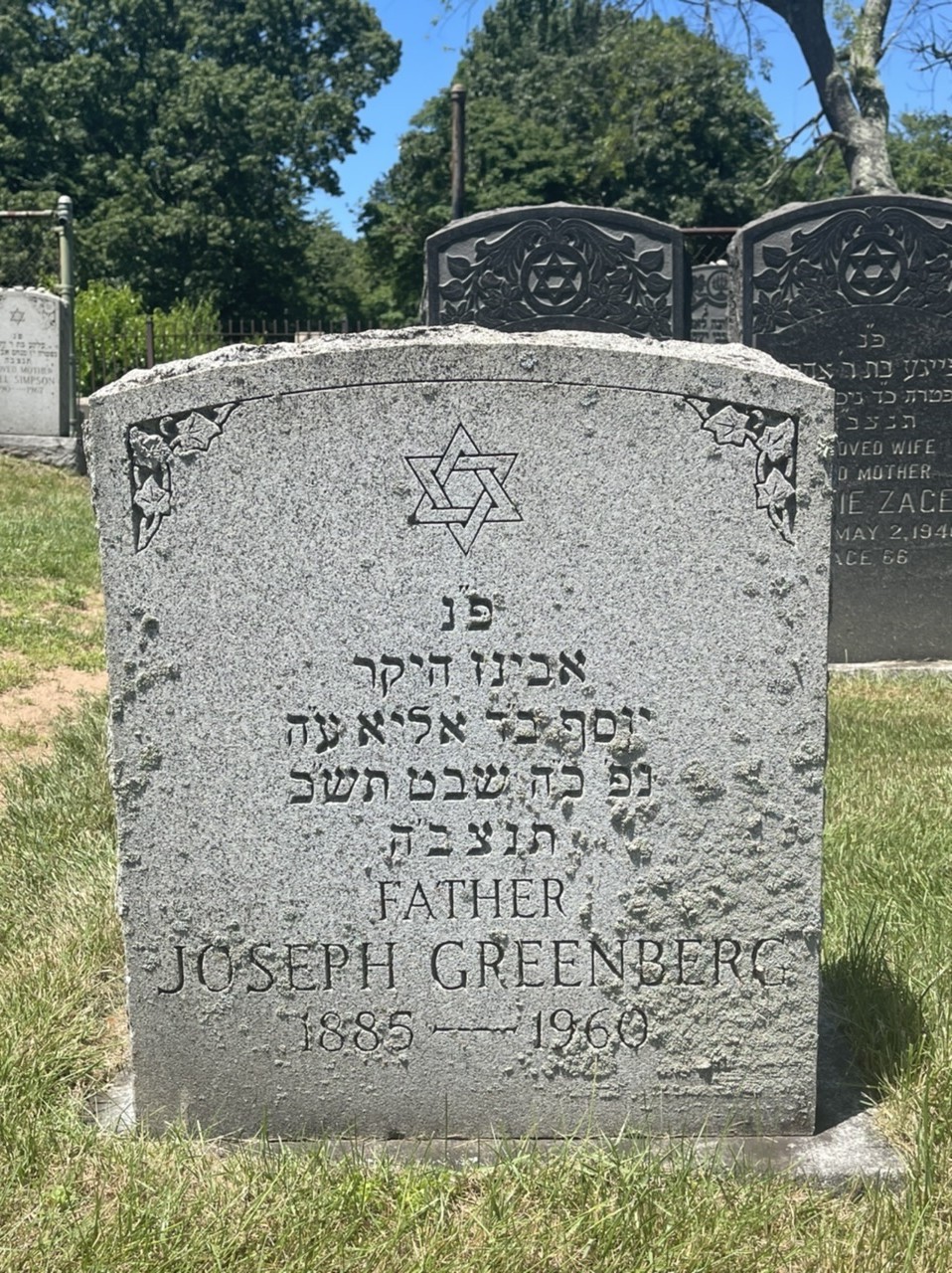 VM94231