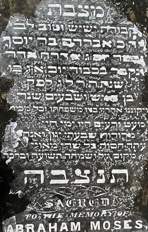 VM94305
