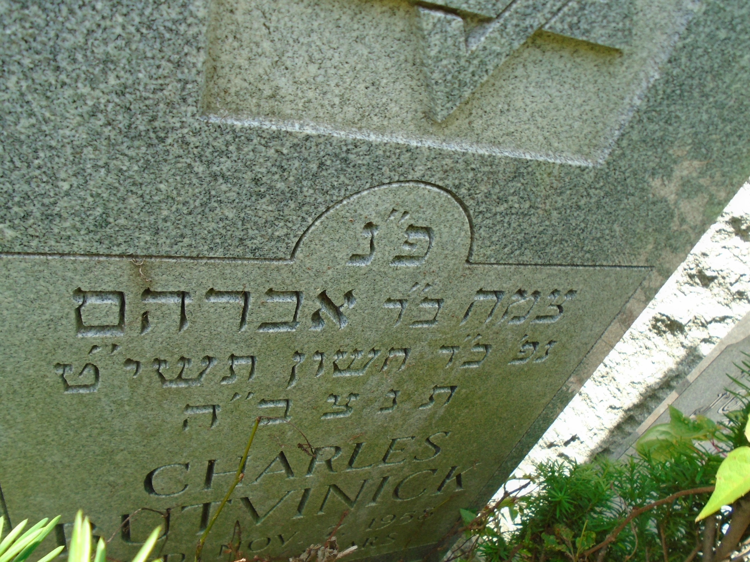 VM94458