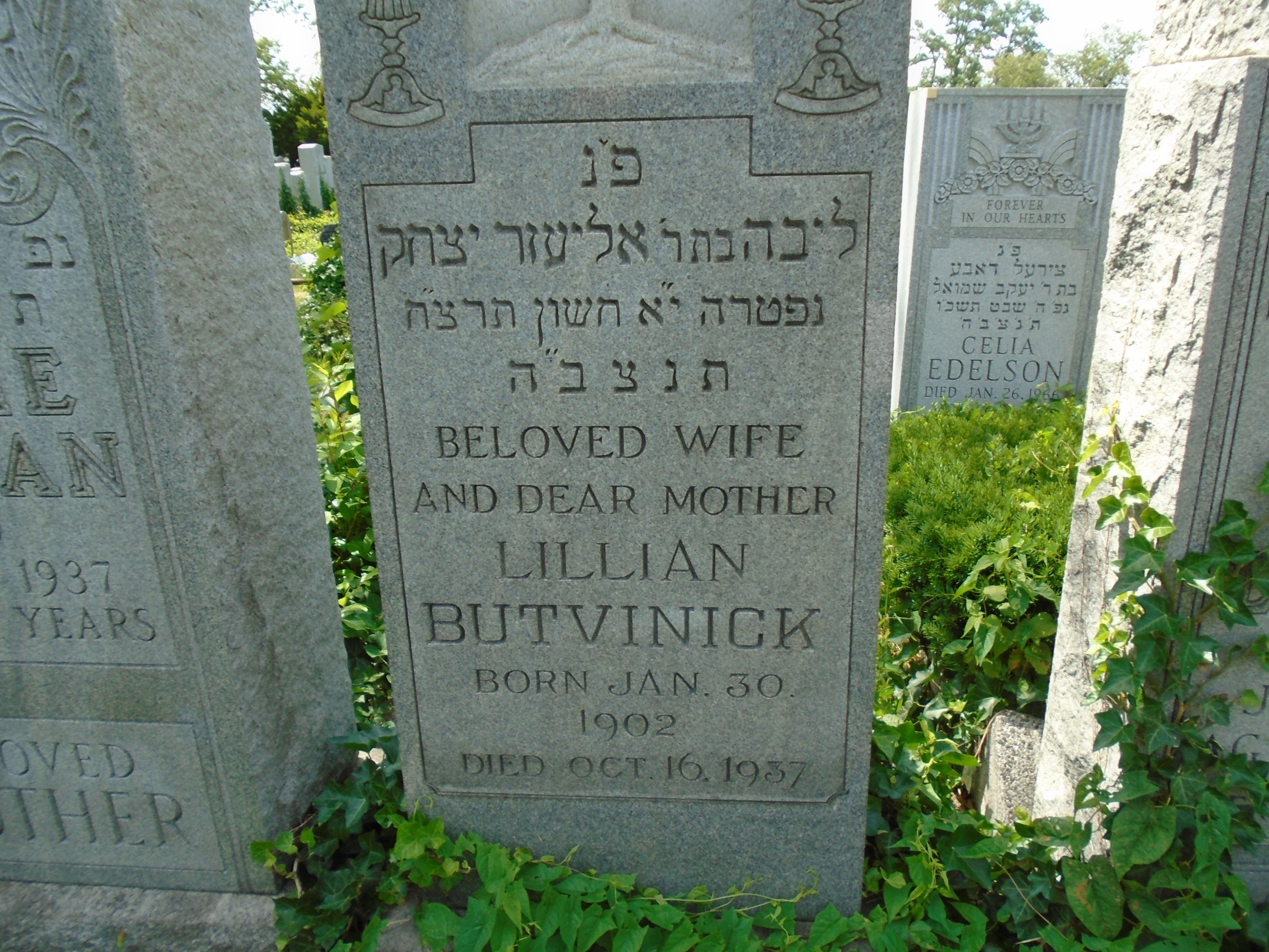 VM94459