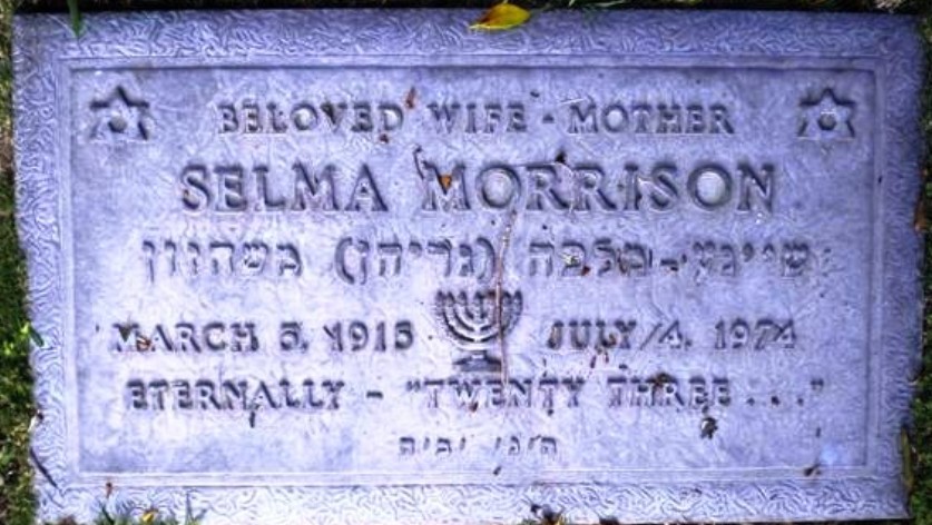 VM94537