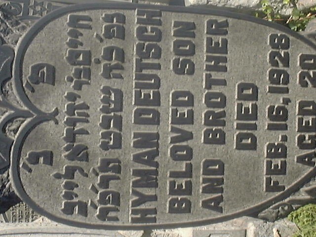 VM94542