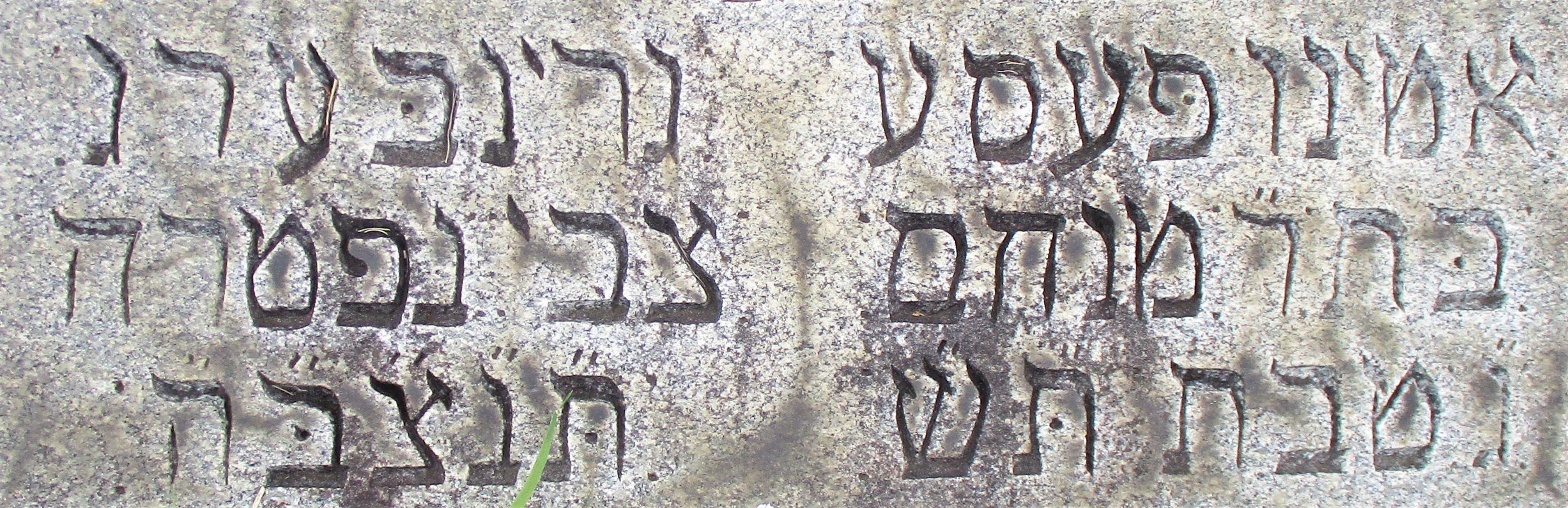 VM94933
