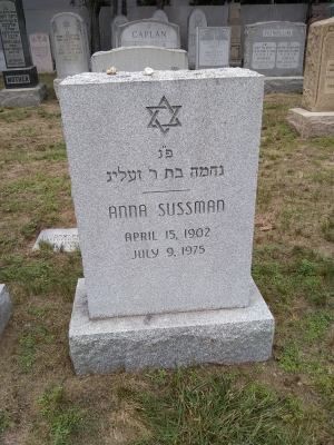 VM95111
