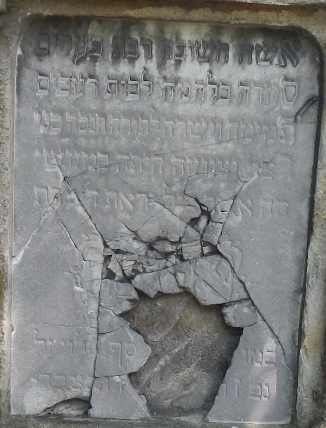 VM95115