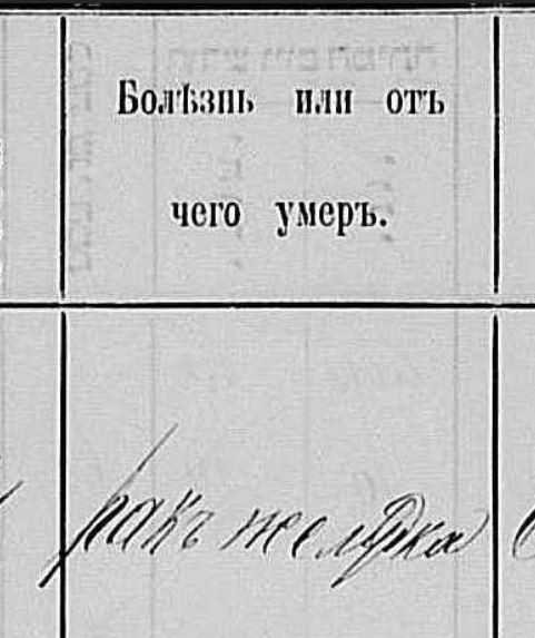 VM95136
