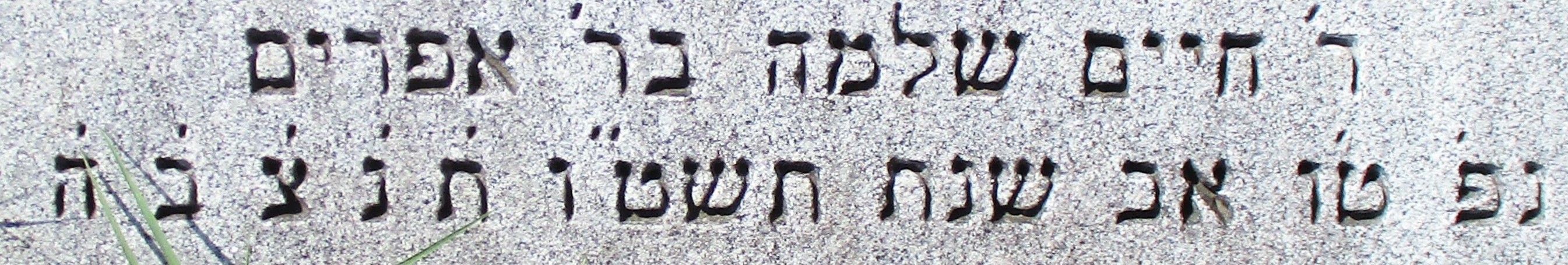 VM95252
