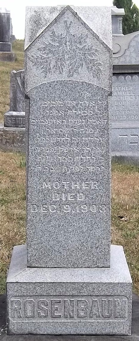 VM95286