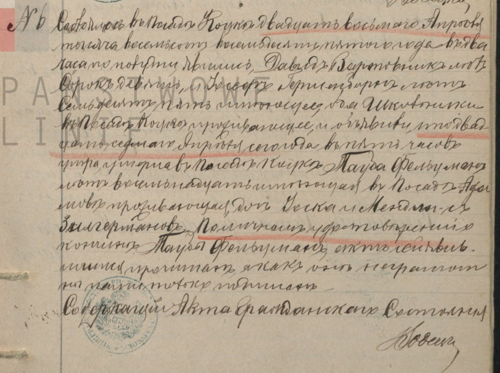 VM95317