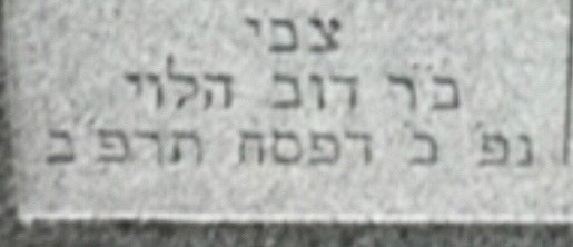 VM95336