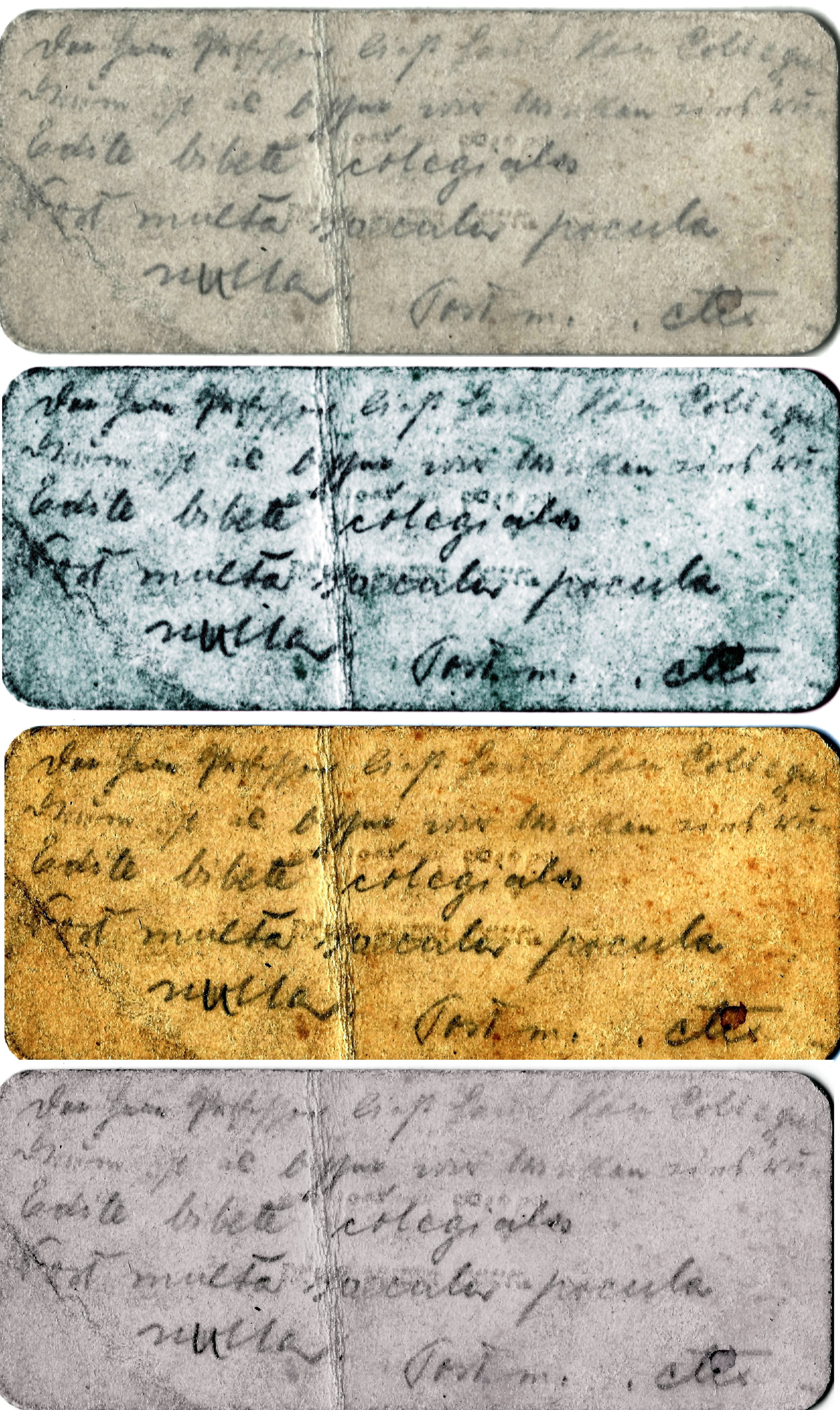 VM95486