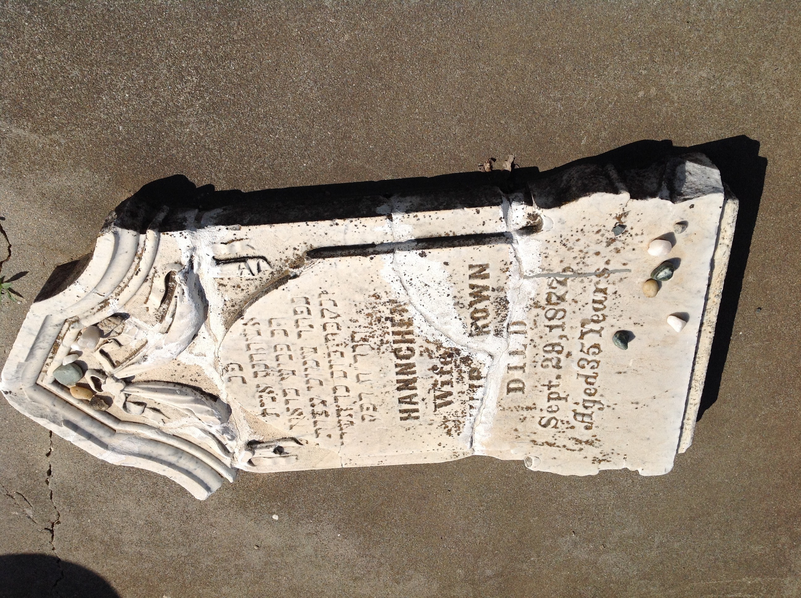 VM95516