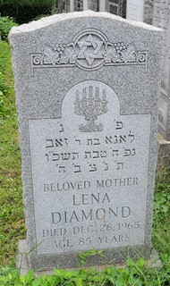 VM95528