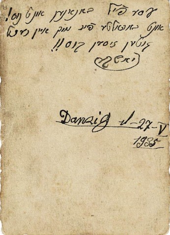VM95529