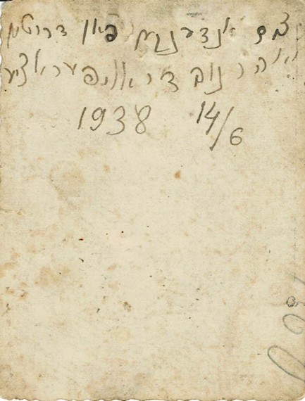 VM95531