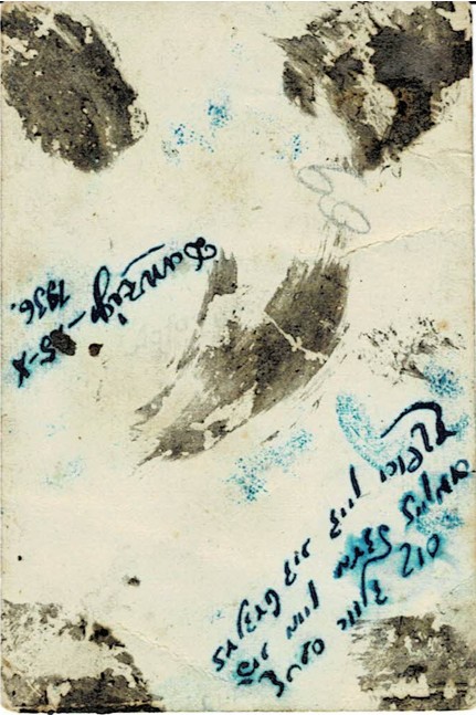 VM95533