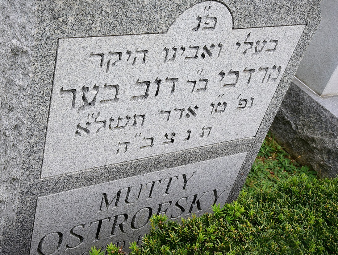 VM95679