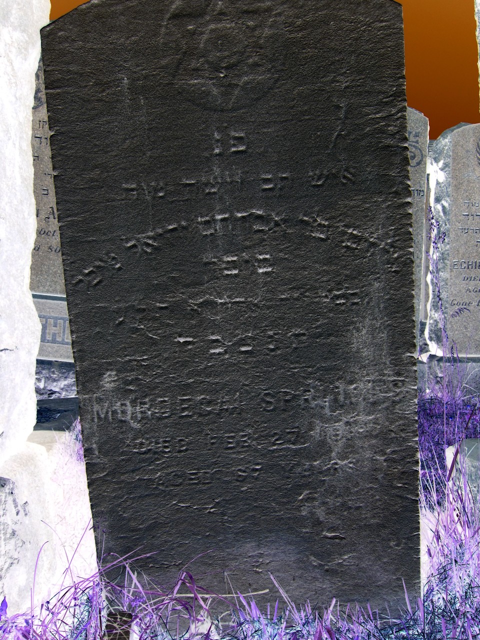 VM95857