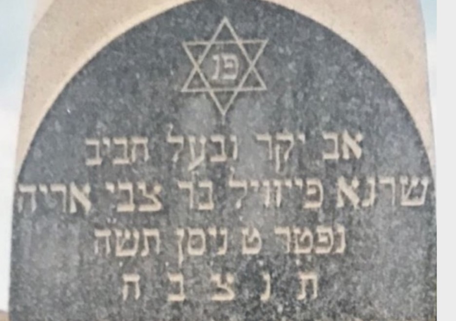 VM95869