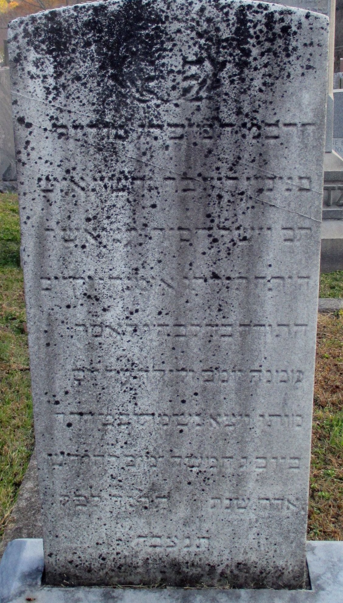 VM95958