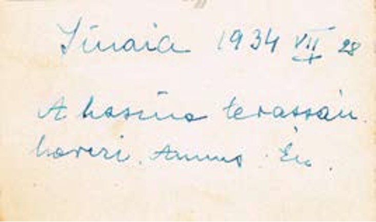 VM96491