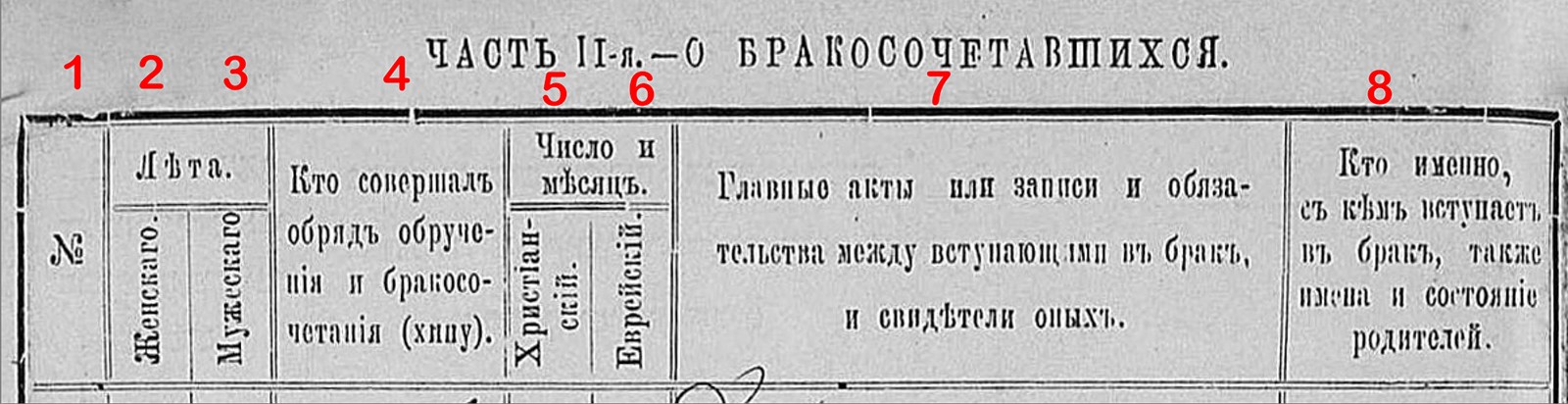 VM96536