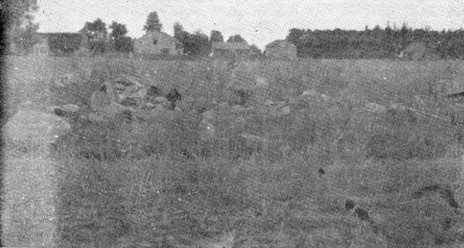 bel2_034.jpg The cemetery, in the midst of which lie violated and broken tombstones