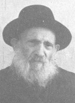 bra079b.jpg