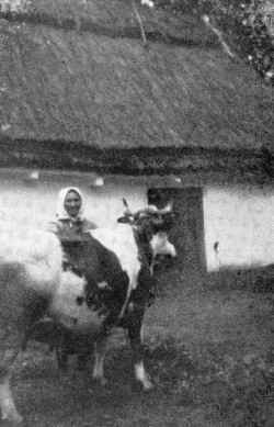 bude316b.jpg Jewish Farmers from Verbovitz, near Budzanow