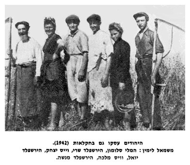 cse100.jpg [40 KB] - The Jews also worked in agriculture (1942)