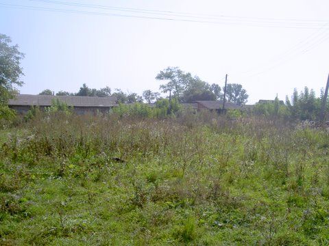 glip001.jpg Grounds of former cemetery showing encroachment of homes
 [40 KB]