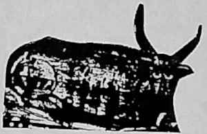 gwo116a.jpg