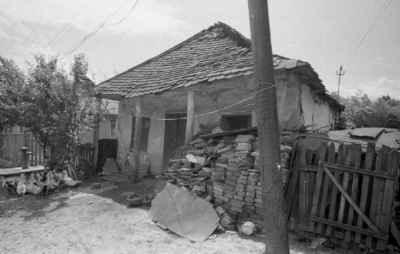 Kop289a.jpg