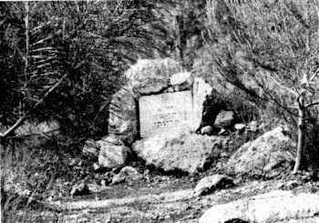 kry342a.jpg