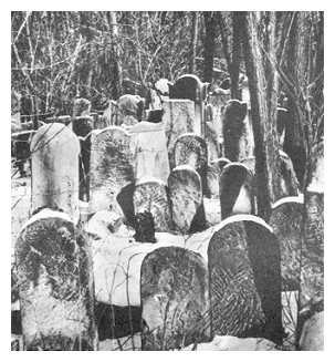 The Jewish Cemetery in Piotrkow