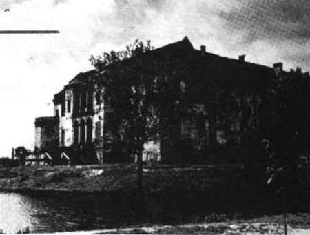 szy373.jpg