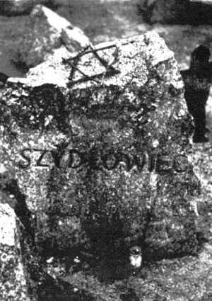 szy378.jpg