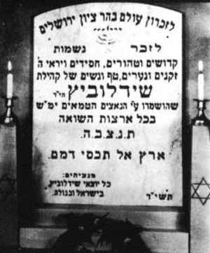 szy379a.jpg