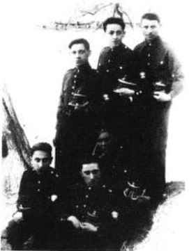 szy379b.jpg