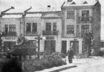 Ter031.jpg