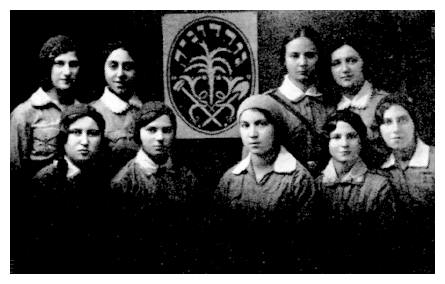 brz094a.jpg - A group of young girls from the 'khalutsim' [settlers] organization