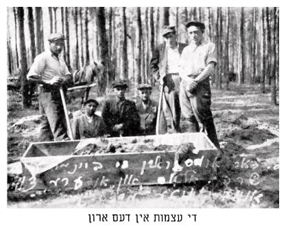 Excavation of the bones of the victims; the bones in the coffin