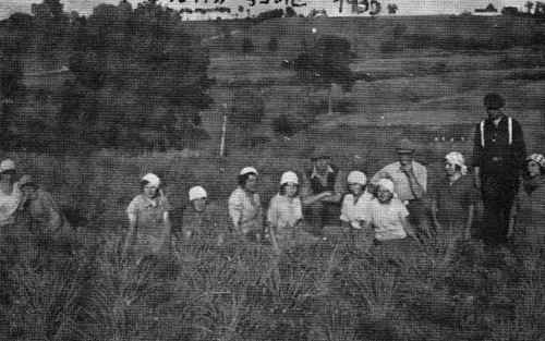 gar316.jpg